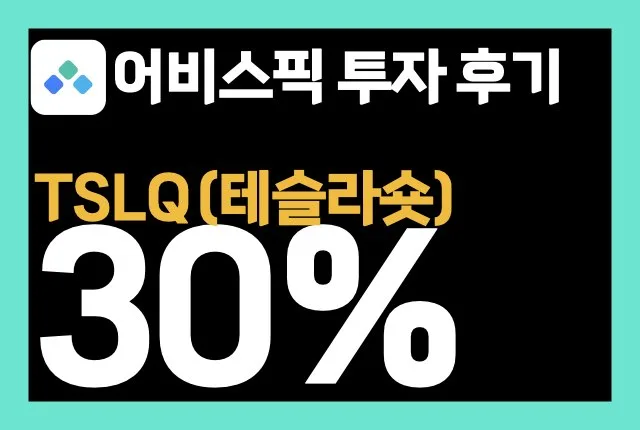 테슬라 숏으로 30%